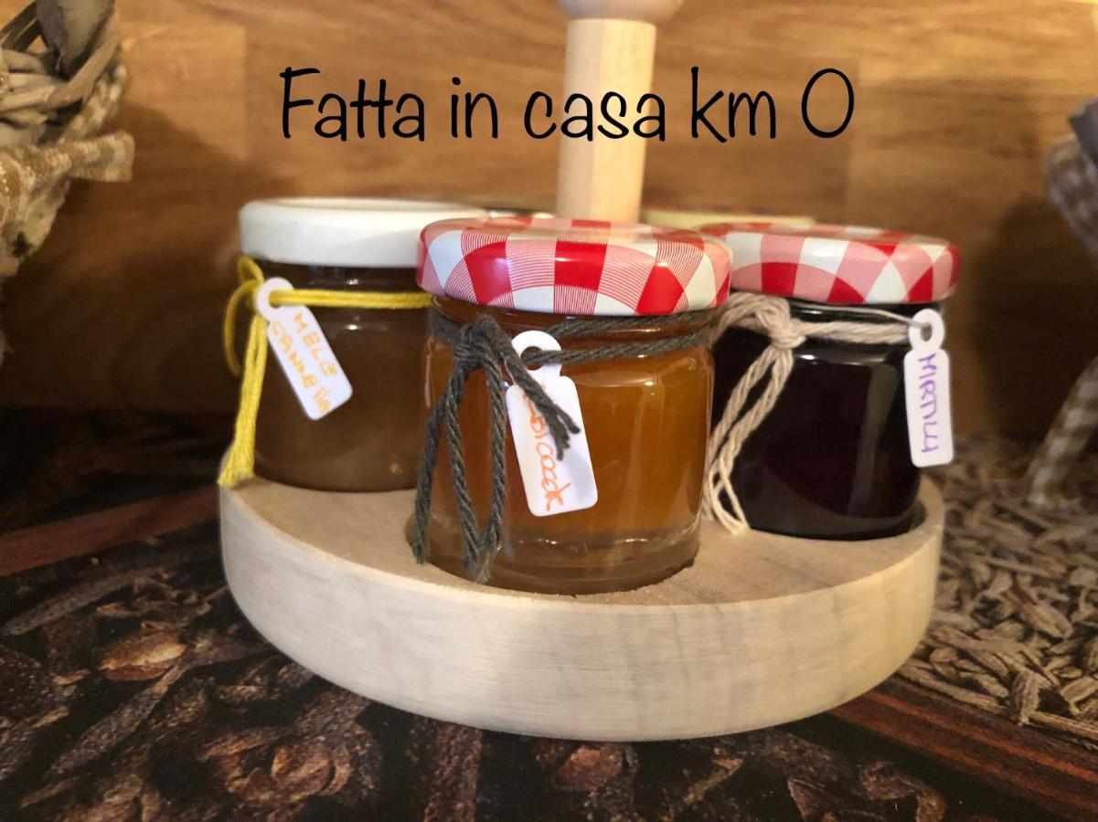 Paradiso Della Bici 莫尔贝尼奥 外观 照片