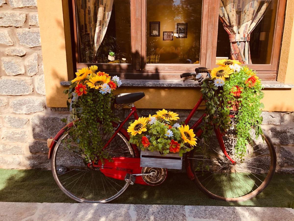 Paradiso Della Bici 莫尔贝尼奥 外观 照片