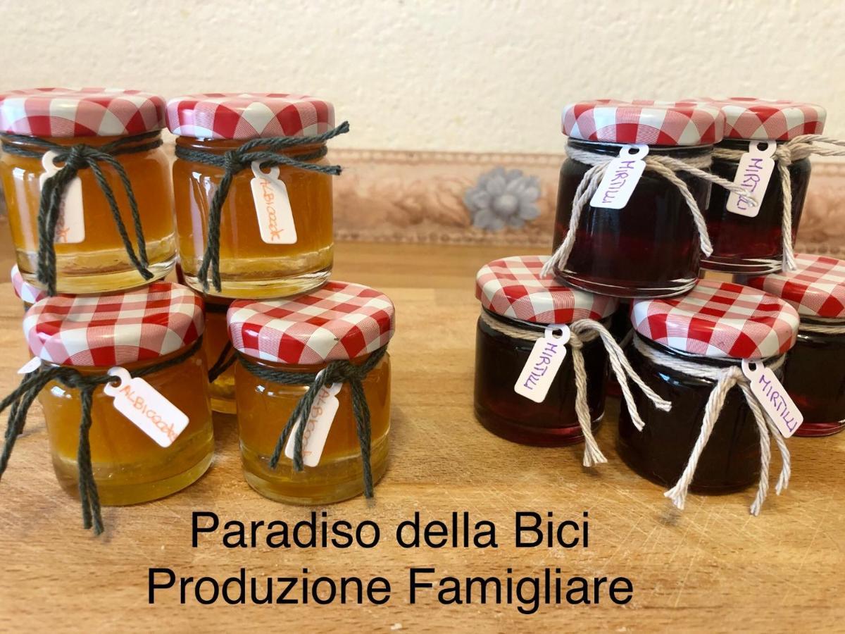 Paradiso Della Bici 莫尔贝尼奥 外观 照片